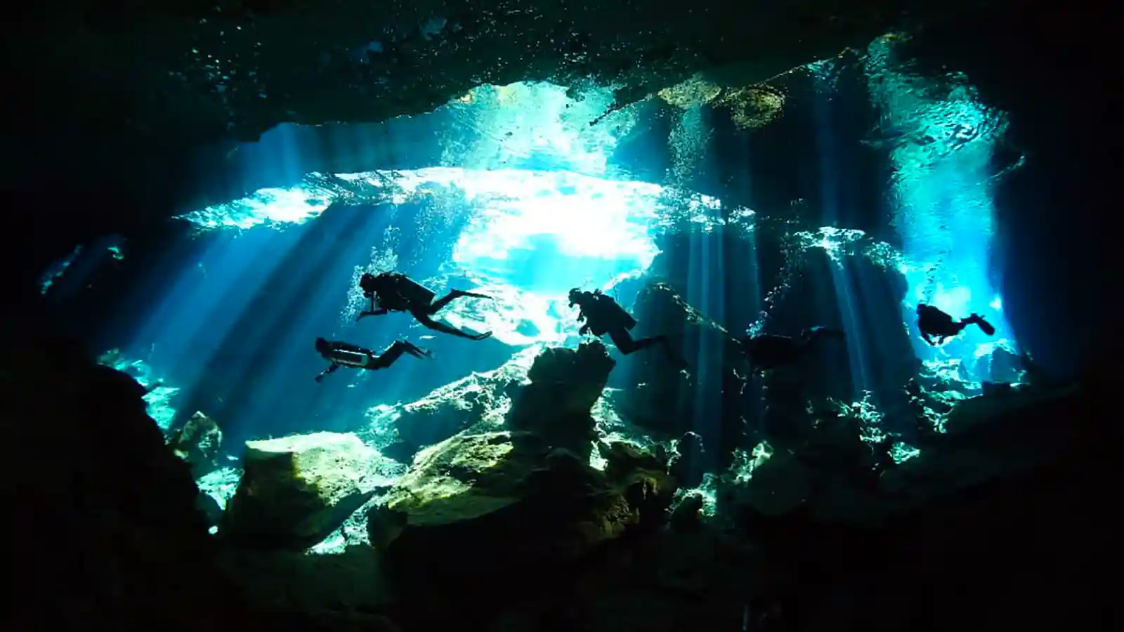 Pasku Dive Cenote Diving