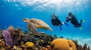 Why Playa del Carmen Is Paradise: The Ultimate Guide to Scuba Diving in Playa del Carmen, Mexico