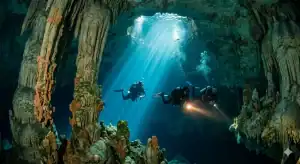 Private Scuba Diving Tours: The Ultimate Tailored Experience in Riviera Maya