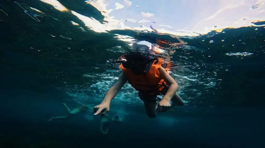 Best cenotes for swimming with children a family guide to Mexico’s natural wonders