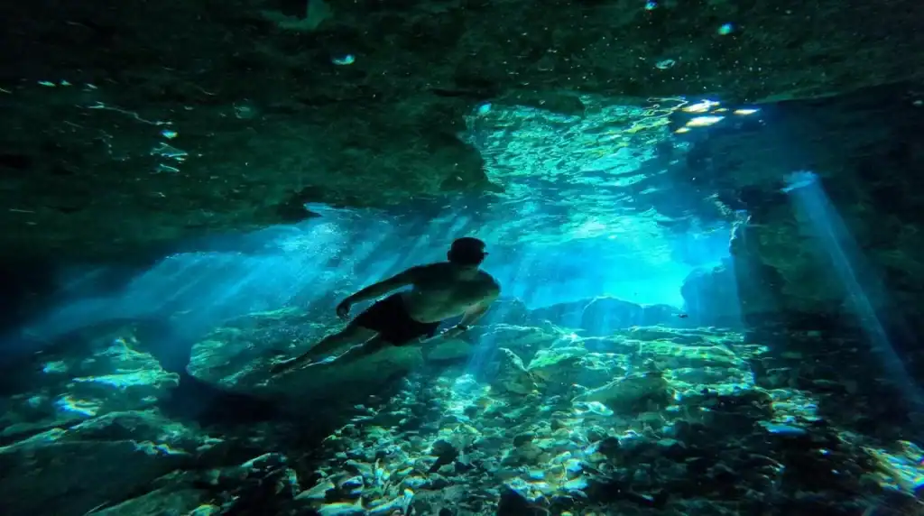 Reasons to choose Pasku Dive for your adventure