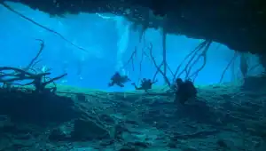 What are the best travel agencies for cenote tours in Mexico?