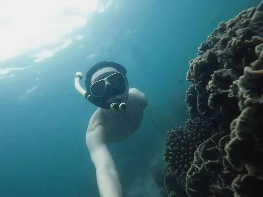 What snorkel gear is recommended for exploring cenotes