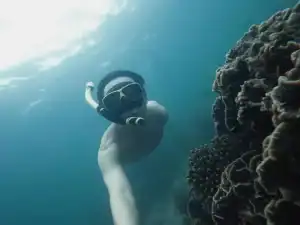 What snorkel gear is recommended for exploring cenotes?