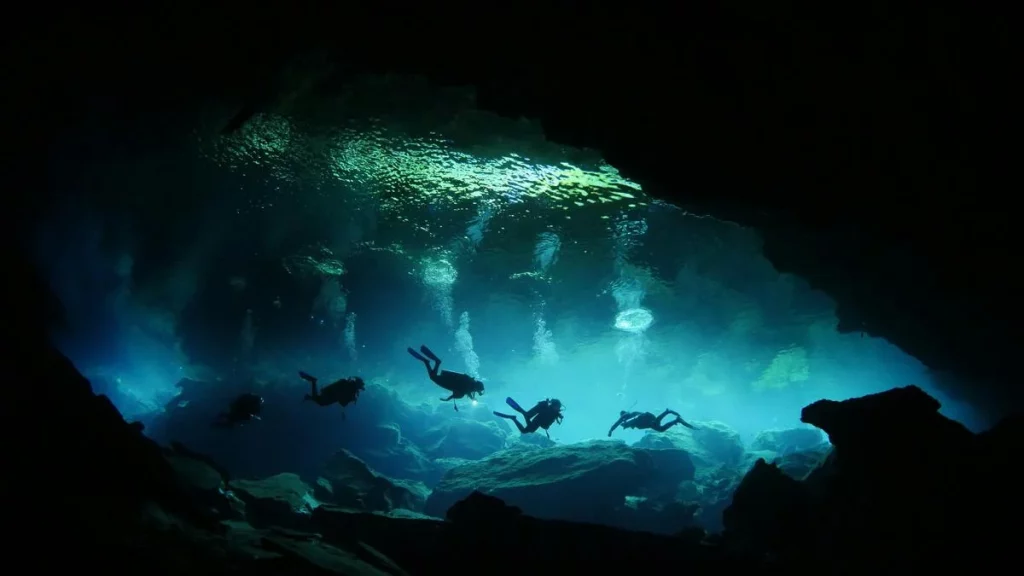 Where Can I Book the Best Guided Cenote Excursions