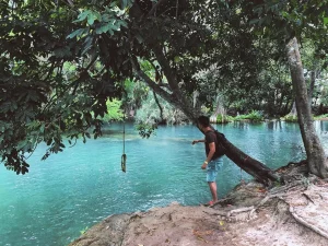 Where Can I Book the Best Guided Cenote Excursions?
