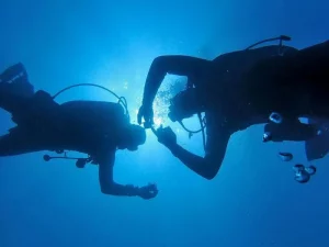 Hand signals in scuba diving: the universal language under the sea