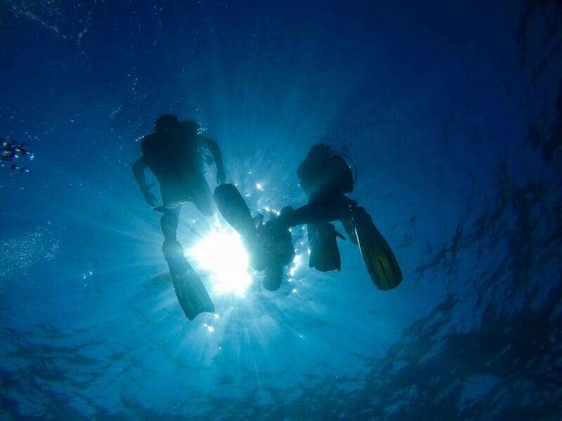 Cenote Diving Visibility Year Round Why Mexico’s Underground Rivers Never Fade