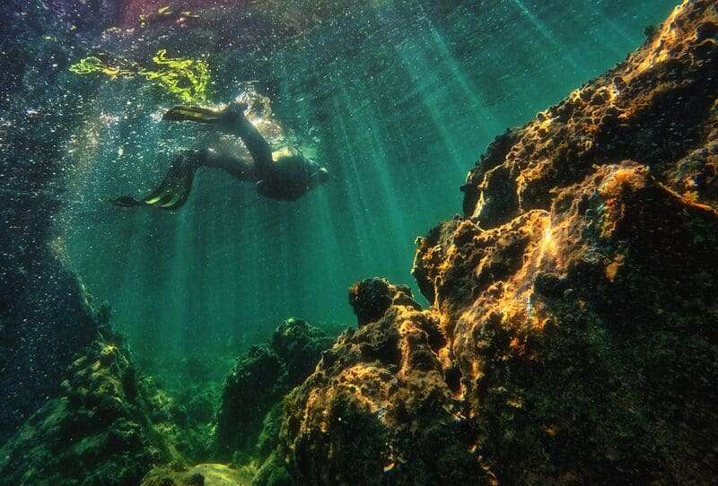 Cenote Diving Visibility Year Round Why Mexico’s Underground Rivers Never Fade
