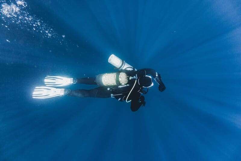 Is Cenote Diving Safe for Beginners Everything You Need to Know