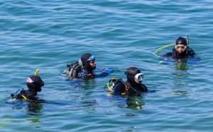 Is Cenote Diving Safe for Beginners? Everything You Need to Know