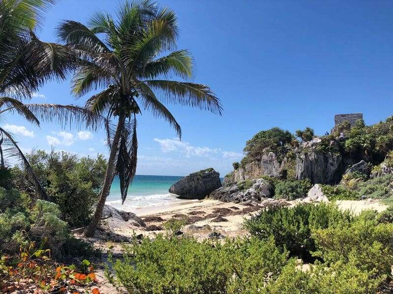 Riviera Maya vs Bahamas Diving where to Plan Your Next Great Underwater Adventure