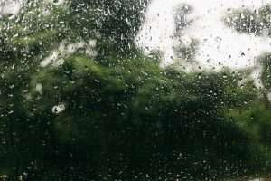 Is It Worth Diving During the Rainy Season?