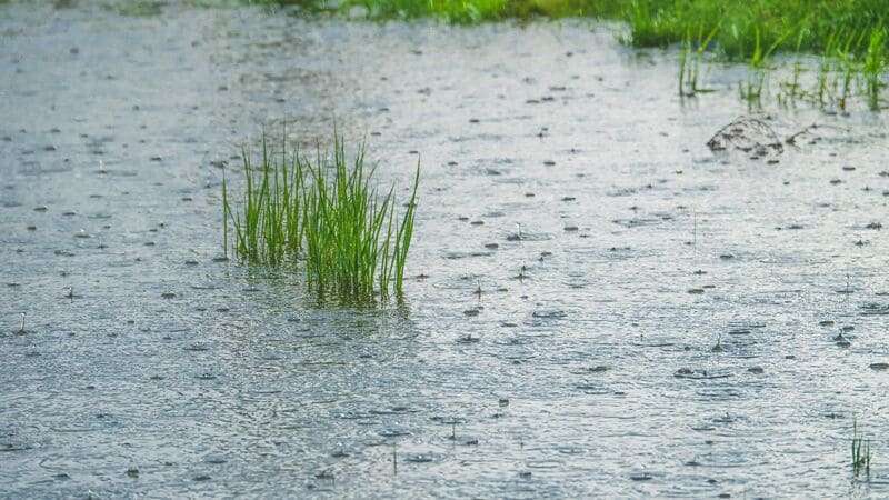 ¿Merece la pena bucear en temporada de lluvias
