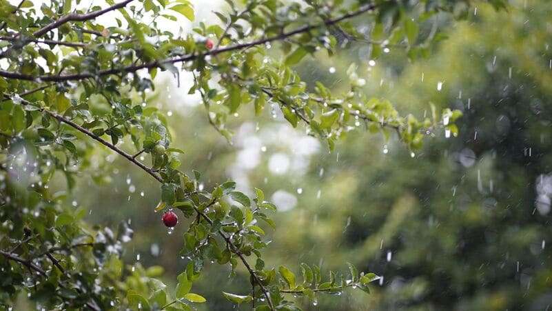 ¿Merece la pena bucear en temporada de lluvias