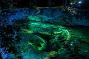 What a Private Cenote Diving Day Is Like: Schedule and What’s Included