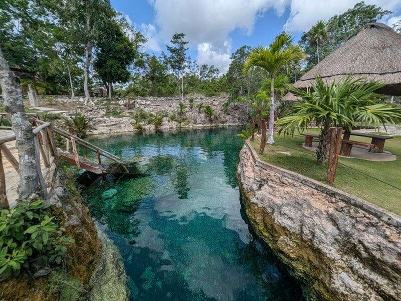 What a Private Cenote Diving Day Is Like Schedule and What's Included