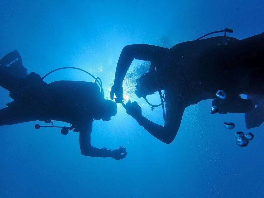  tour masivo de buceo