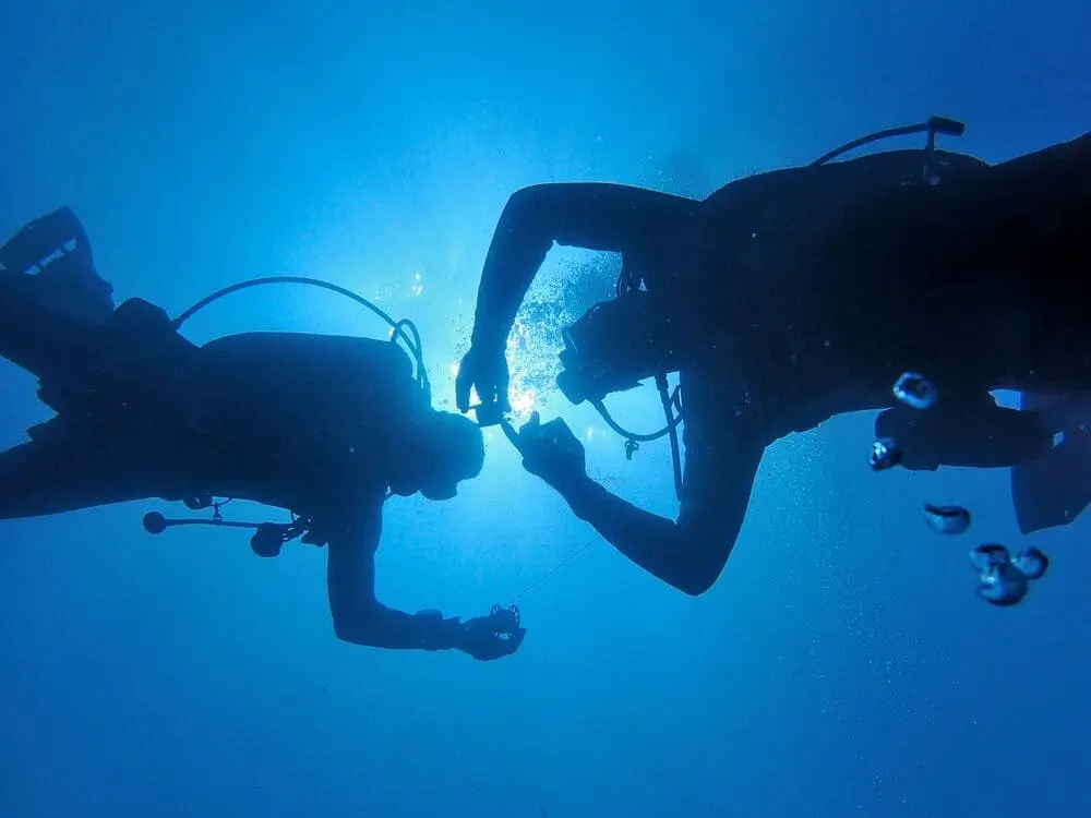  tour masivo de buceo
