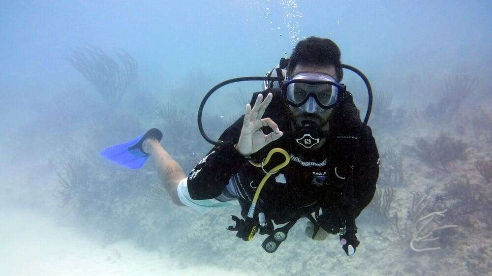  tour masivo de buceo
