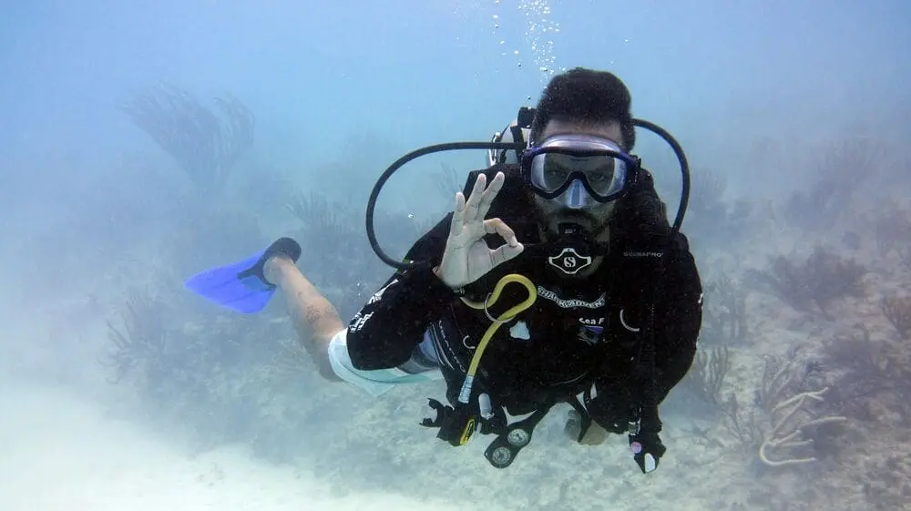  tour masivo de buceo