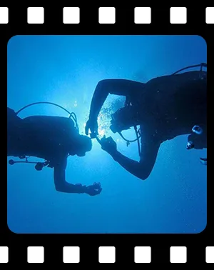 courses_F11_300