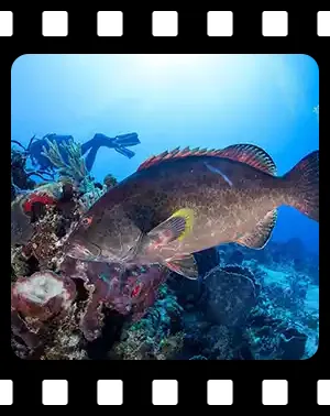 cozumel_F03_300