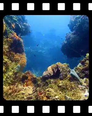 cozumel_F07_300