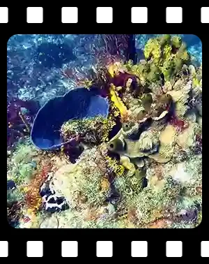 cozumel_F10_300