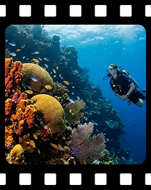 cozumel_F14_300