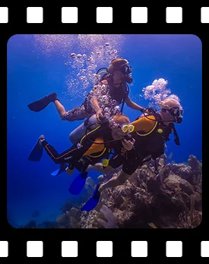 home_F02_300