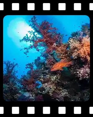 playa_F02_300