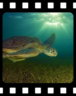 playa_F05_300