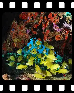 playa_F06_300