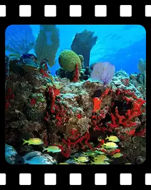 playa_F07_300