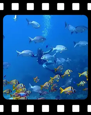 playa_F08_300
